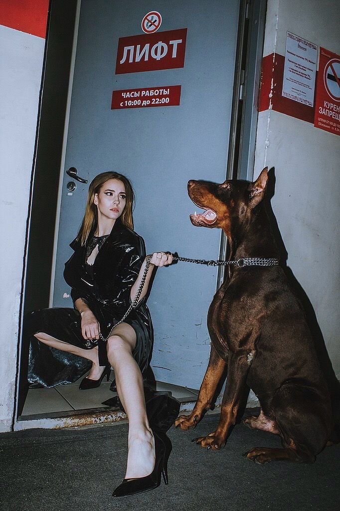 SienaEspela's tweet photo. Quality time with my pup before he knotts🥵💦

Tap the link below for more of my content 🔗⬇️👇
https://t.co/b0rCci6ul1
Zangi 3991780613
#zootwt #knotts #USA #zoophillia https://t.co/0obNhJ7WsN