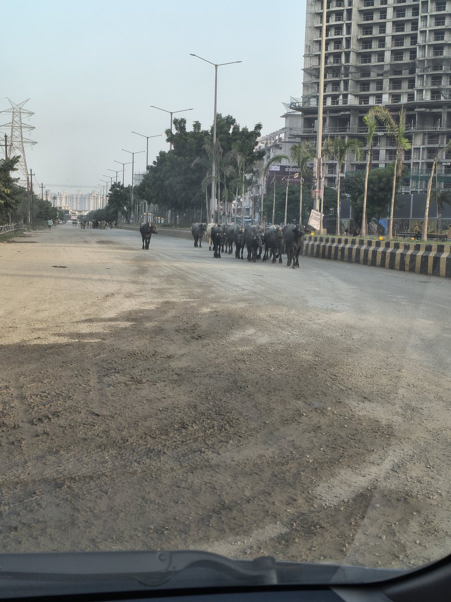 vishal_mathur's tweet photo. @NoidaUpdatesX @myogiadityanath @CeoNoida @noida_authority @dmgbnagar @CP_Noida @dcptrafficnoida See the amount of air/dust pollution in sector 150 noida. Illegal movement of heavy truck dumpers inside sector road cause pollution n  accidents. Pusta road alternative road is closed with barrier by NA. Plz help. https://t.co/pqsmXhIuJ6