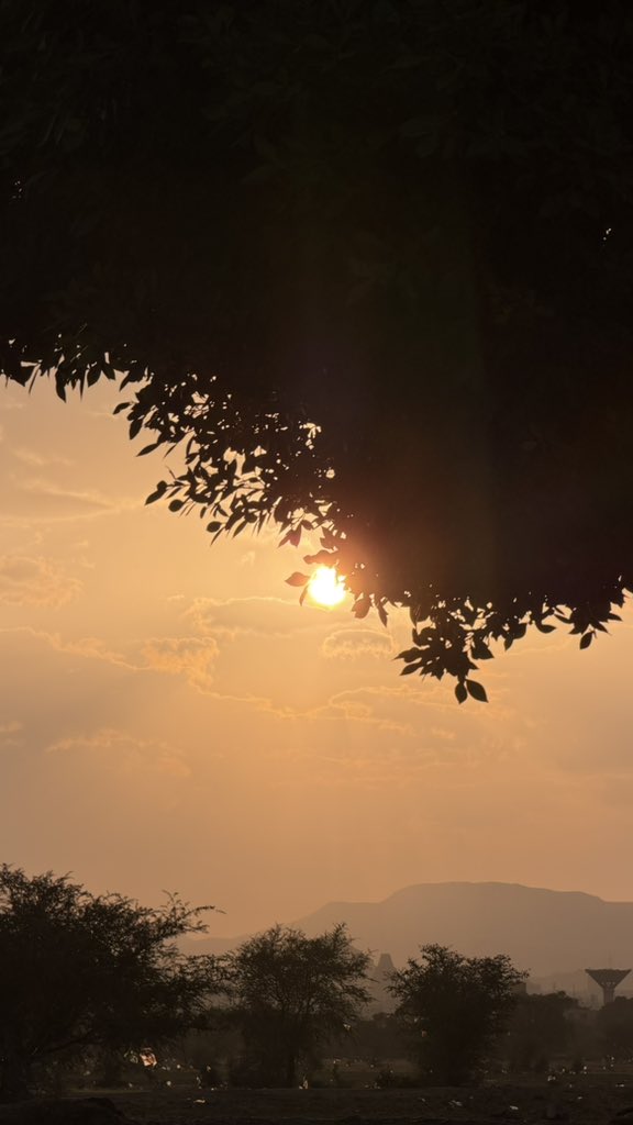 alsaeeidi6 tweet picture