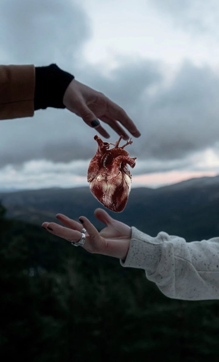 realsaddam2016's tweet photo. We gave our heart we didn't ask for a receipt
We are not traders we are heart givers
In love there is no profit just having you is enough
The heart's transaction happens through the eyes
No weighing no measuring we just gave our ❤️ 
This is the pen of the 💜 written from the 💜 https://t.co/MVt3zttcKI