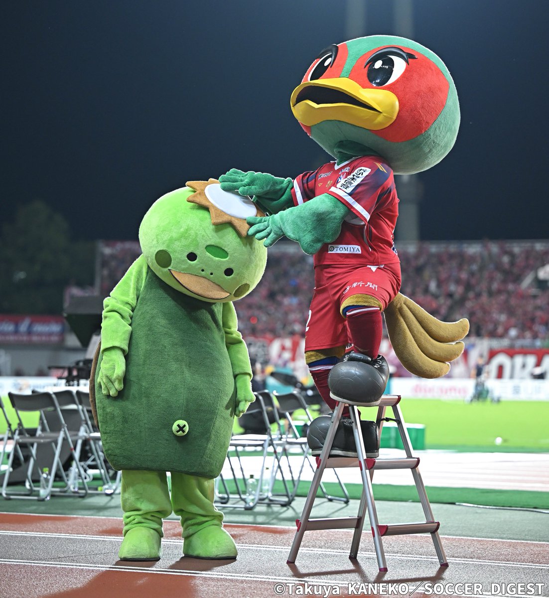 weeklysd's tweet photo. 📸フォトギャラリー📸
ファジアーノ岡山のホームゲームを盛り上げるマスコット「#ファジ丸」を特集！

👉https://t.co/NO8HPqZceP

#サカダイ #サカダイフォト 
#Jリーグ #ファジアーノ岡山 https://t.co/XSVuAnx7tZ