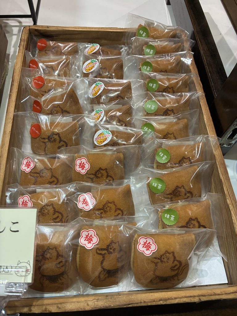 sumo_neko's tweet photo. こんにちは、豆錦です🫛
江戸のれん、雨ですが大盛況です(=^x^=)
ねこちゃんこも味が勢揃い。この機会にぜひお試しください😋
このあと雨が強くなりそうです。現地観戦の皆さま、何卒お気をつけてお越しください🐾
#sumo #相撲 #とし田 #すもうねこ https://t.co/GJfJ3gYUoH