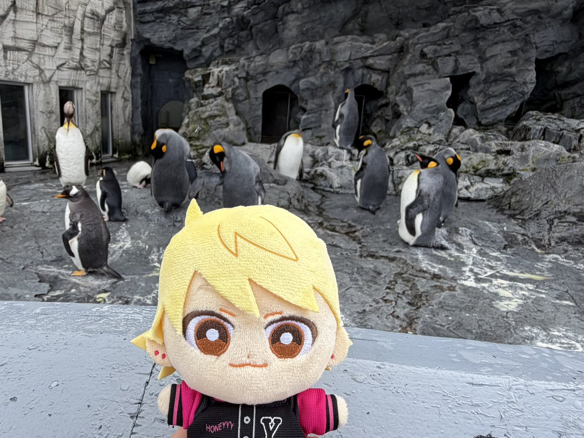 TegoshiYuyano's tweet photo. 旭山動物園を満喫するてごぬい https://t.co/Q4mhMURyMT