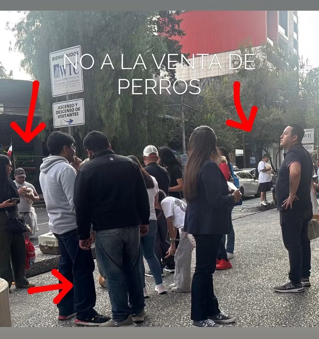 LicAnimalista's tweet photo. Por favor @UCS_GCDMX hoy ya no fue posible detener a los vendedores de animales afuera del @WTC_Mexico en la Expocan, ojalá mañana desde el inicio del evento pueda estar #BrigadaVigilanciaAnimal presente en las calles alrededor. Aquí imágenes de vende perros de hoy. @PabloVazC https://t.co/rFHoe1FQYF