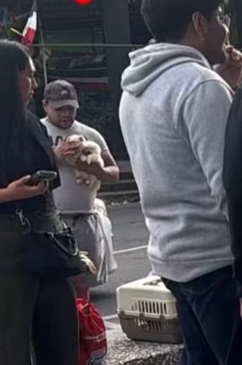 LicAnimalista's tweet photo. Por favor @UCS_GCDMX hoy ya no fue posible detener a los vendedores de animales afuera del @WTC_Mexico en la Expocan, ojalá mañana desde el inicio del evento pueda estar #BrigadaVigilanciaAnimal presente en las calles alrededor. Aquí imágenes de vende perros de hoy. @PabloVazC https://t.co/rFHoe1FQYF