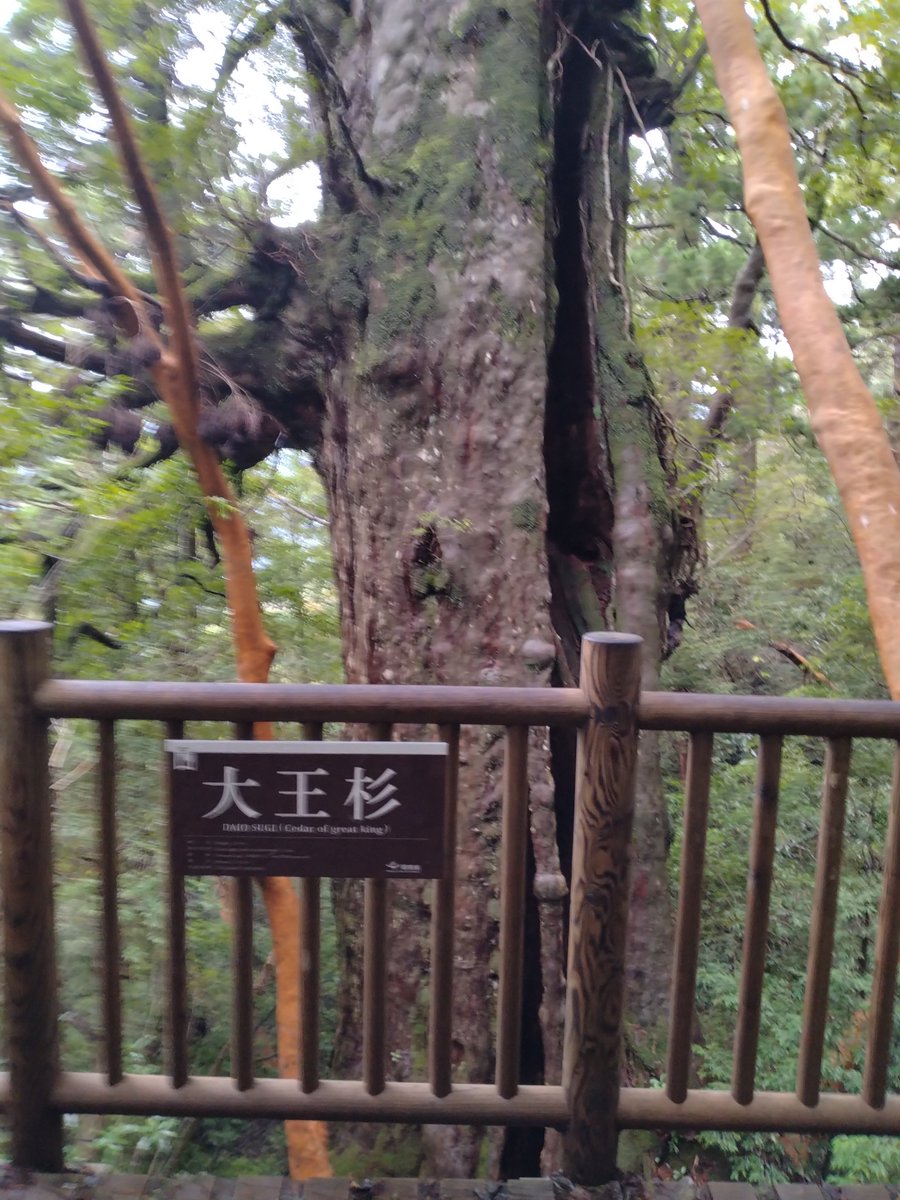 cell1126's tweet photo. 自然を感じるって、良いことだなと。最近トレーニングサボってたつけか脚はパンパンですが。。。 https://t.co/aUC4IZnOnT