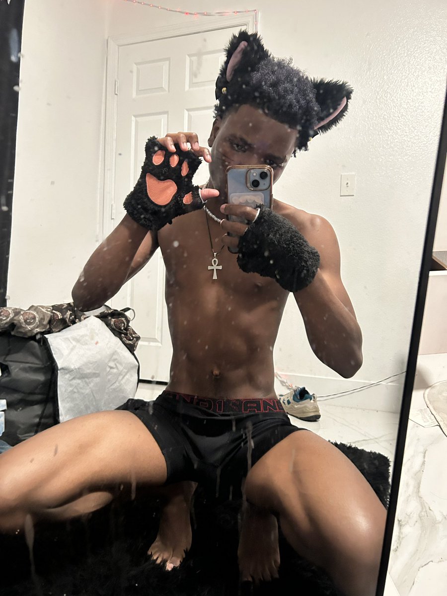 ckockonut's tweet photo. Cat boi #mlm #catboy https://t.co/eWnyBAninn