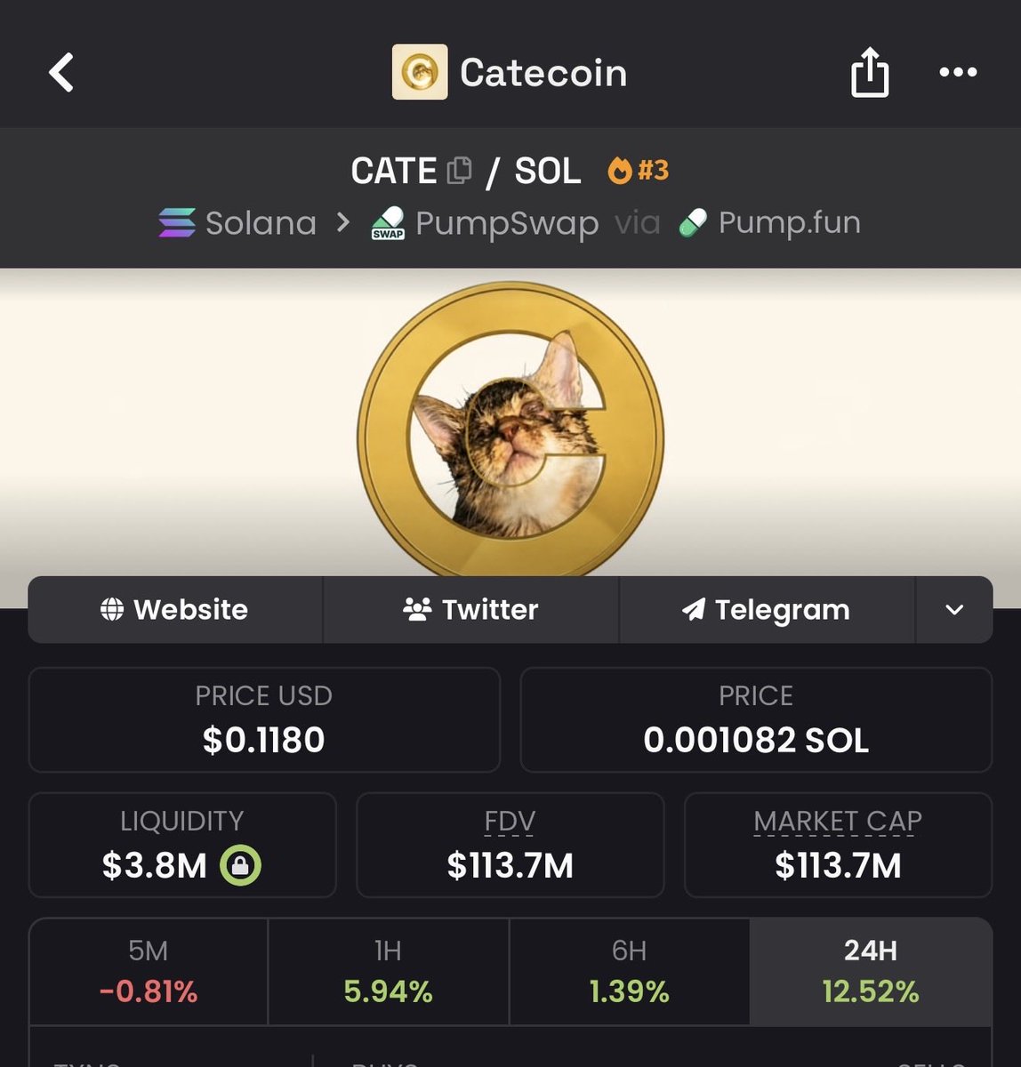 Kingstaccz's tweet photo. Call me crazy but these are the only cat coins going to 1 billion this month 

$cate and $pumpcat https://t.co/Z6RdfMPoUq