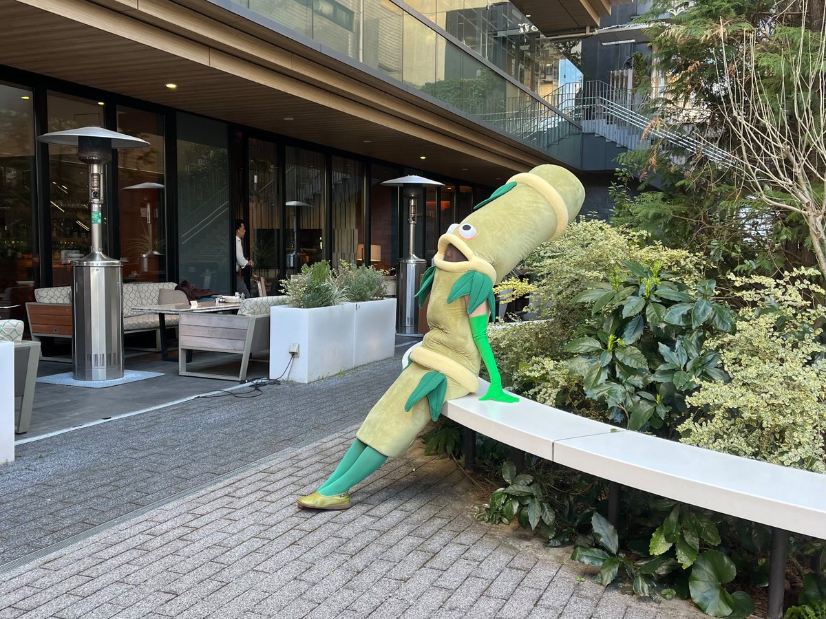 namakemonokp's tweet photo. 【ハロウィン出没予告】
10月31日(土)に万年竹がお店にやってくる！🎋
出没時間はまたお知らせします📢 https://t.co/HXvI6O8cLL