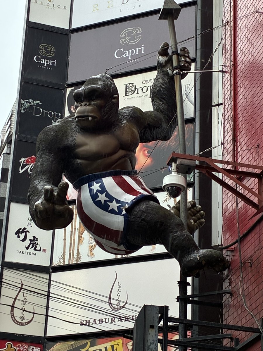 TKMX69's tweet photo. ゴリラおった🦍🇺🇸 https://t.co/jN2pVZXAdW