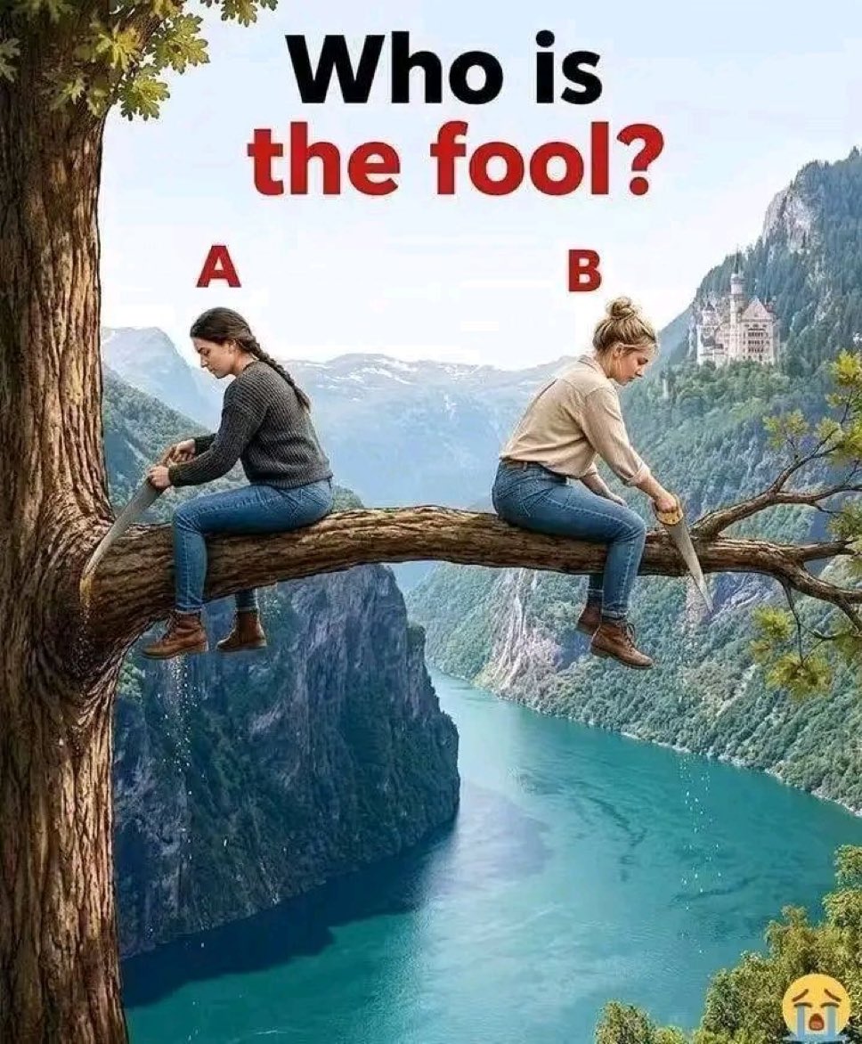 Commentarystef's tweet photo. Who is the fool here ? https://t.co/mXANWmk8ne