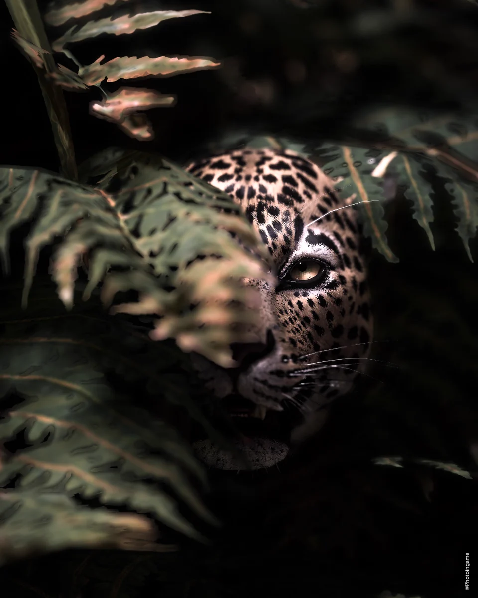 Photoingame on X: "This photo and many others will be in my in-game ...