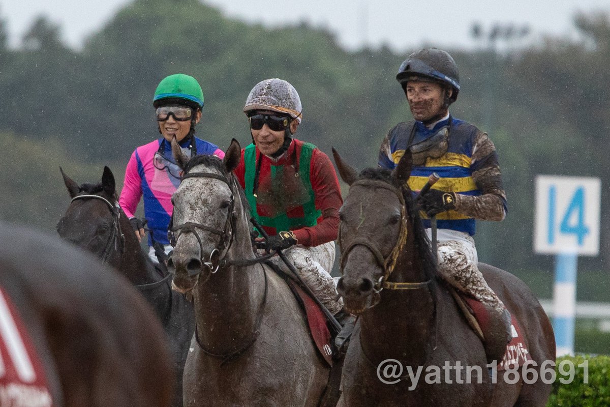 yattn186691's tweet photo. 連日雨でただでさえ悪い馬場の中、こんな土砂降りで各人馬ドロッドロで帰ってきた中、ただ一組、綺麗なまま帰ってきたメイショウゲキリンとべーたなさん
-----
2026/09/20 中山競馬場 11R
オールカマー
メイショウゲキリン/田辺裕信
キャントウェイト/横山典弘
ワイドエンペラー/C・ルメール https://t.co/ufwyxhIwfA