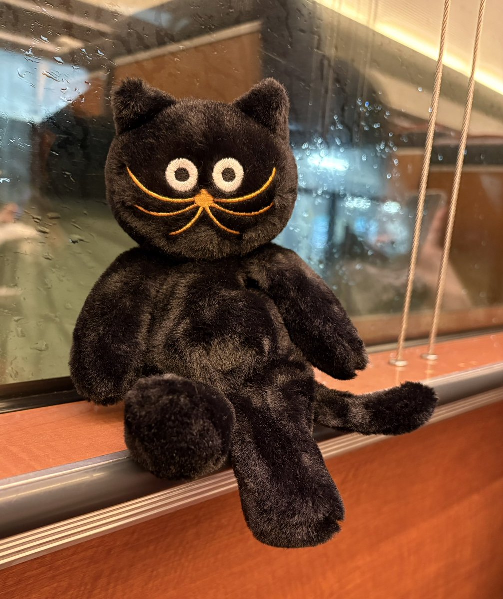Utooaya's tweet photo. 珍しく1日に予定を詰め込んで
大大大満足な帰り道･･

六本木で見つけた猫ちゃんと
目が合って仲間になりましたッ https://t.co/6rOgucrl0P