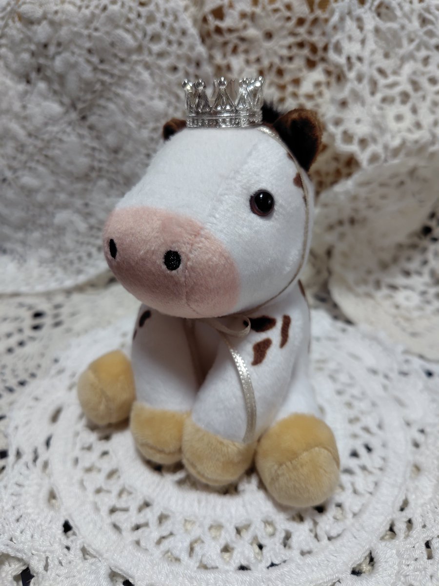 11Early88187's tweet photo. キャンドゥで見つけた王冠にリボンを付けてラテちゃんに。お洋服も作ってみたい。 #ラテ #ラテちゃん #ぬいぐるみ https://t.co/ORhY83eiSb
