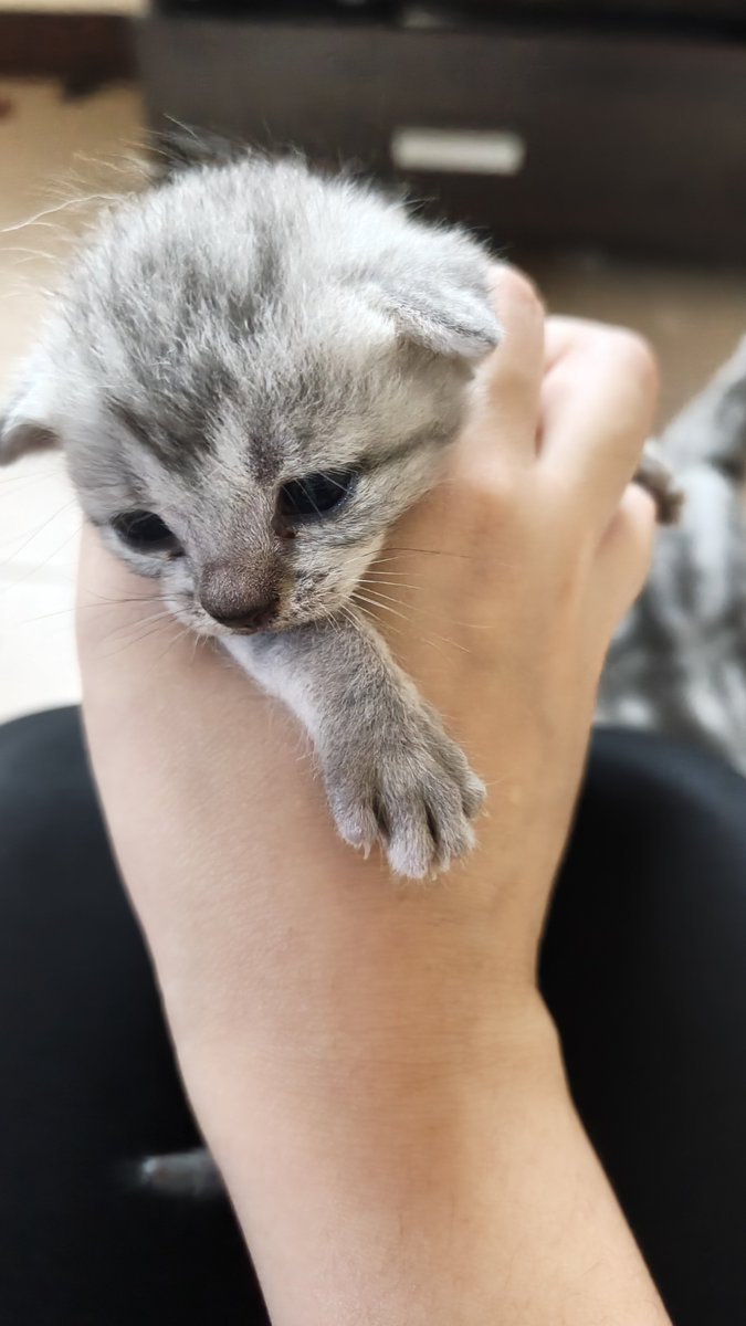 OTWO101055's tweet photo. คนนี้น่ะเหรอ ที่ยายไม่อยากให้คนอื่นละ https://t.co/pkTzqyOCJM