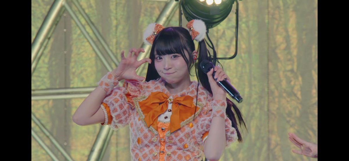 smallbear_mamu's tweet photo. うちらのくまさん可愛すぎで助かる😭😭😭😭 https://t.co/MMeYsnkNvh