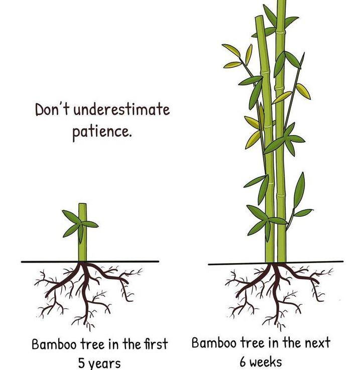 HenryHenice's tweet photo. Practicing patience is one of the hardest things to do especially when you don’t see results. 
Keep pushing, keep your head up and your time will come!

And Remember growth looks different for everyone!
@henryhenice https://t.co/GEtWUTSSL5