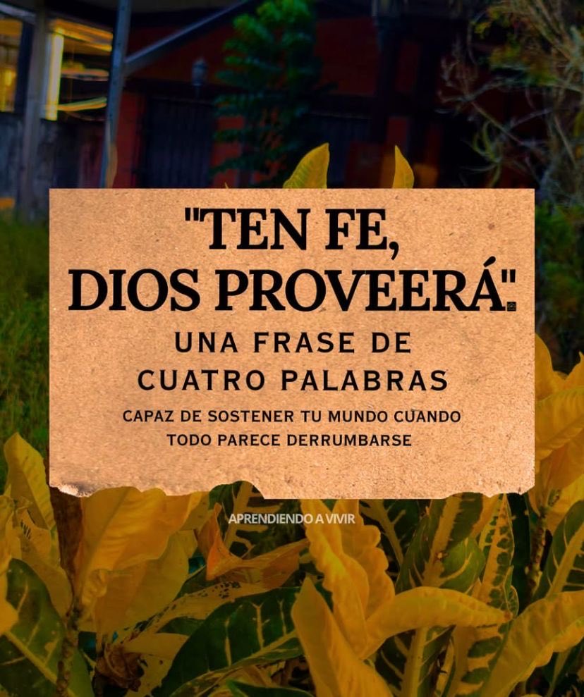 GaloLaraY's tweet photo. #FelizDomingo 🏆
Mi DIOS Proveerá yo confío en ti …. Amén 🙏 https://t.co/E69Ih7S2sK