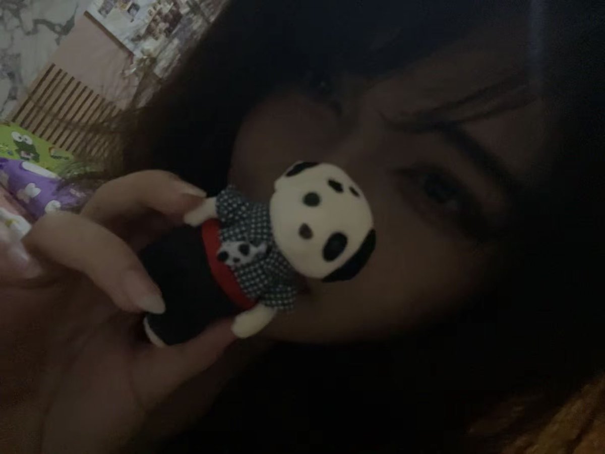 apempistachio's tweet photo. 🐾 https://t.co/s0wMlNcKdK