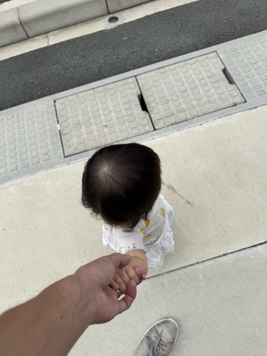 tttomoyattt's tweet photo. 今しかない画角 https://t.co/dkDTlLanNT