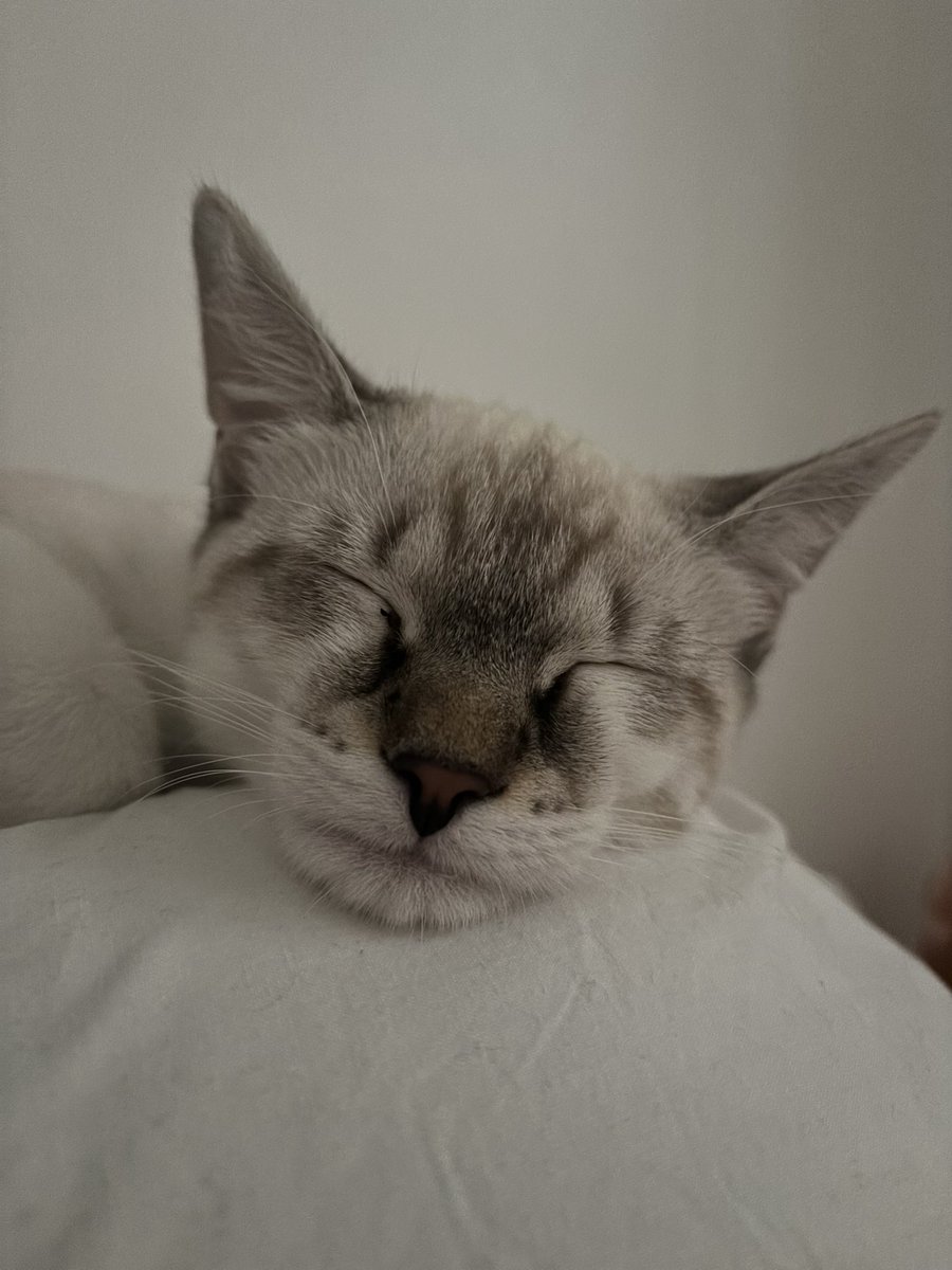 merlinternet's tweet photo. merlin gros menton https://t.co/1wcPGBNRm5