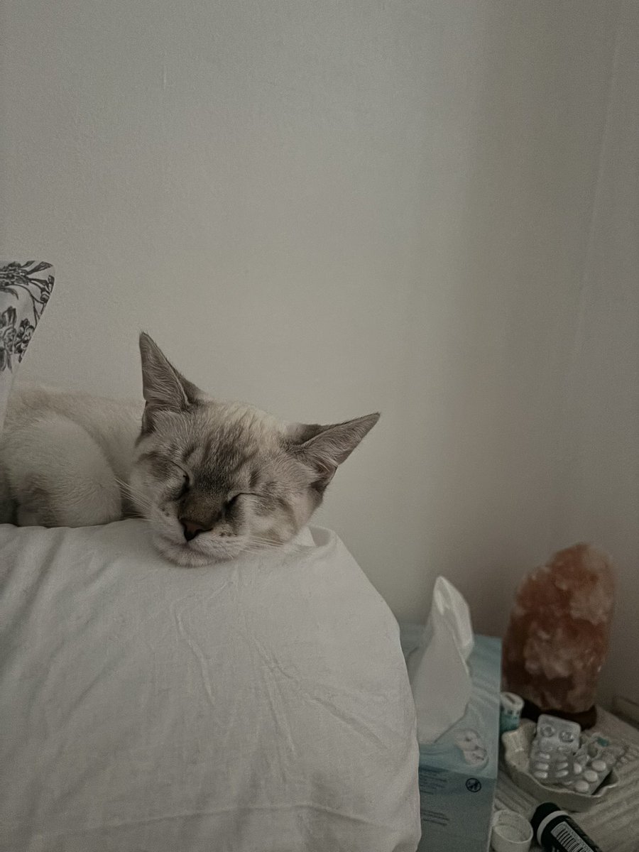 merlinternet's tweet photo. merlin gros menton https://t.co/1wcPGBNRm5