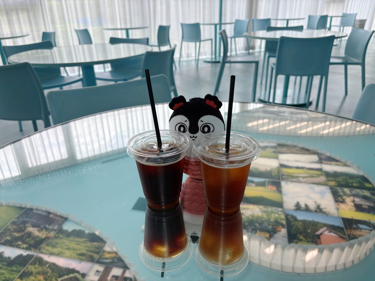 mcwrzq's tweet photo. 飲みたそうに見てるセイレーンちゃん🥤 https://t.co/wqYSkO4akP