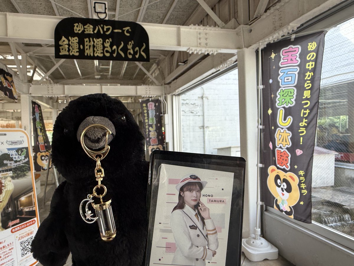wwblueww's tweet photo. すなきんとり笑
ほのちゃんと同じひまわりに
したかったのだけどなかった… https://t.co/6vAcCWuQAl