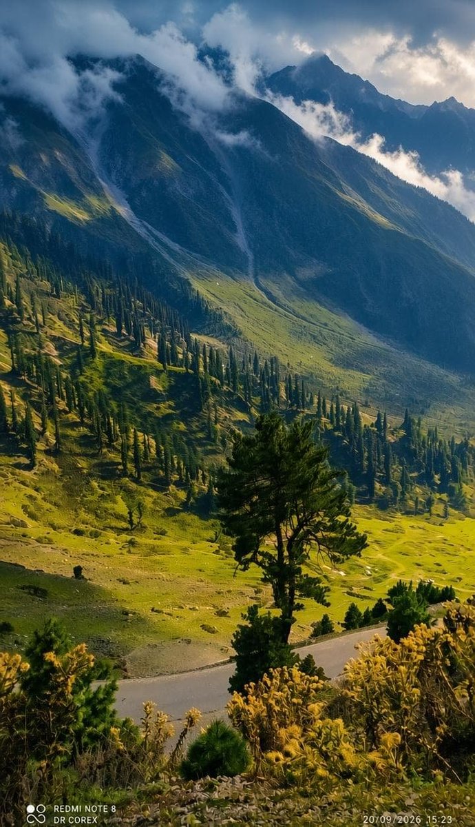 shahidalyy's tweet photo. “A beautiful world, a greater Creator.”
“SubhanAllah, how can the heart witness this creation and not remember Allah?”
#sadhnatop kupwara https://t.co/KgxQSNB5mC