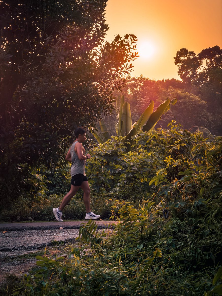 javanng's tweet photo. Quick 5K before the sun calls it a day. There’s no better place for a sunset run than the Rail Corridor.

#railcorridor #singapore #nparkbuzz #runsingapore #naturebrilliance https://t.co/8lykJpDnN5