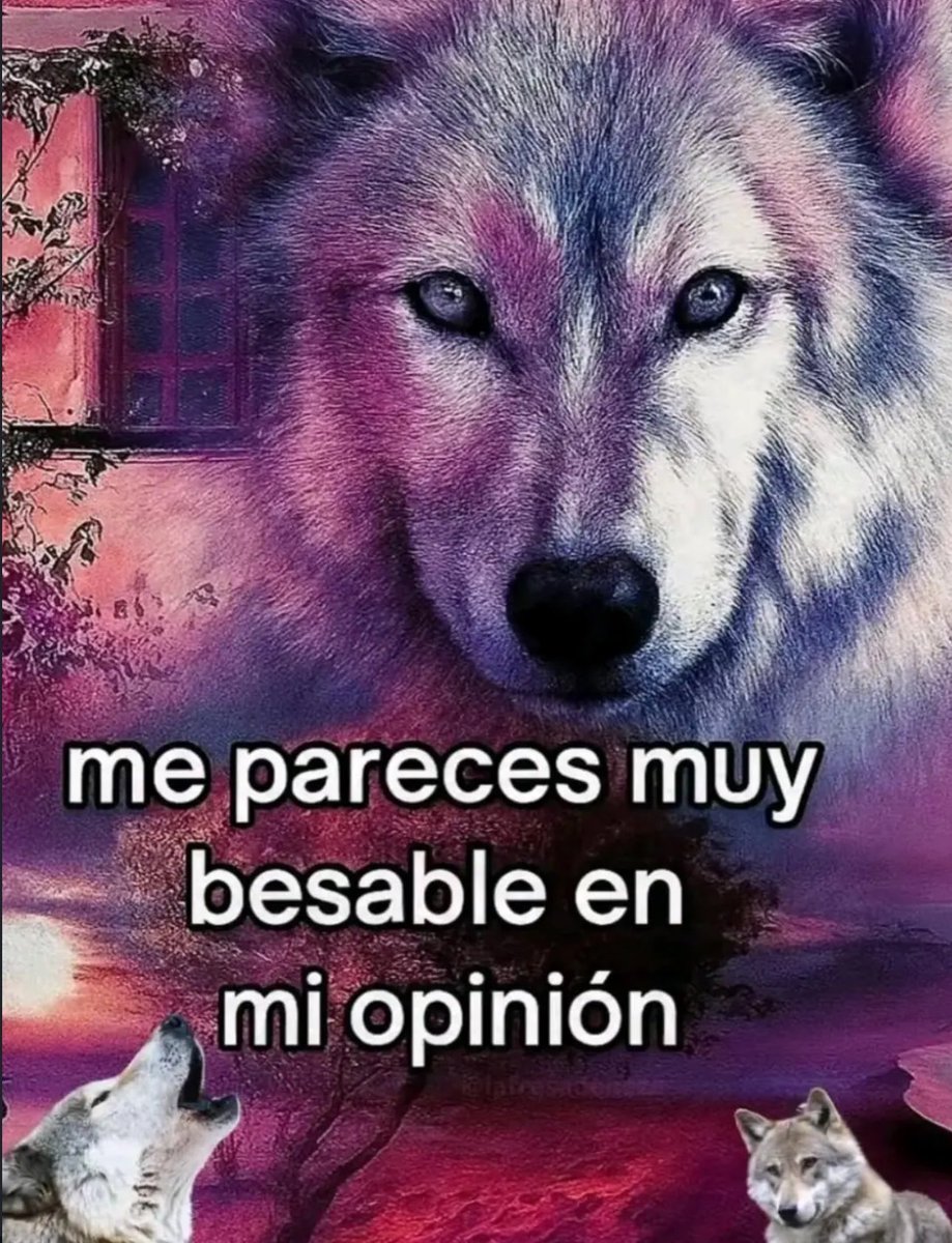 skereunpesado's tweet photo. https://t.co/jdocUDEWyk