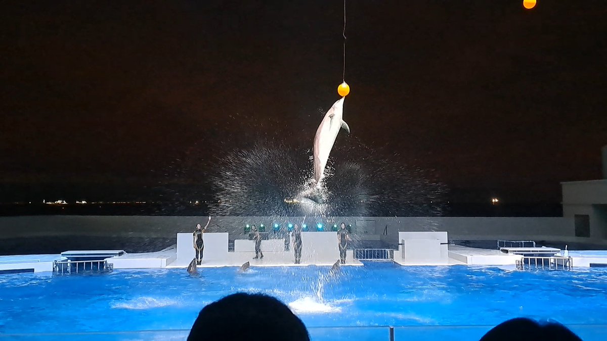 locus_1011's tweet photo. 水族館行ったよ。ナイトパフォーマンスすごかった。 https://t.co/TmjSfzSQyN