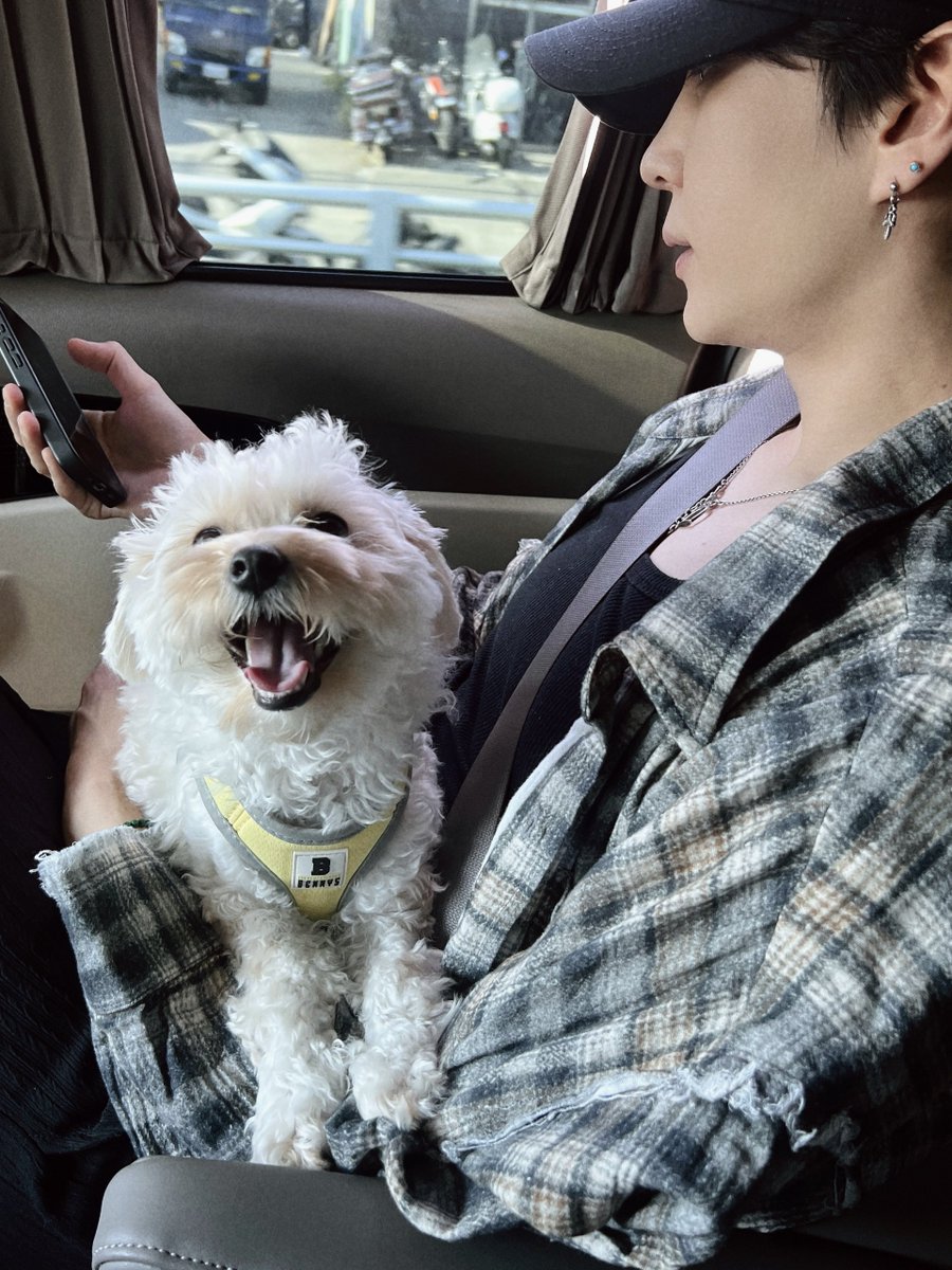 OfficialJTW_LEO's tweet photo. [📸PHOTO]

아빠 팬미팅 연습 따라가는 중🐶
연습은 아빠가 하고
귀여움은 로랑이가 담당하께😉

#레오 #LEO 
#정택운 #JUNGTAEKWOON #정로랑
#TAKE운 #PLAYLEO https://t.co/QiRVF4dO1X