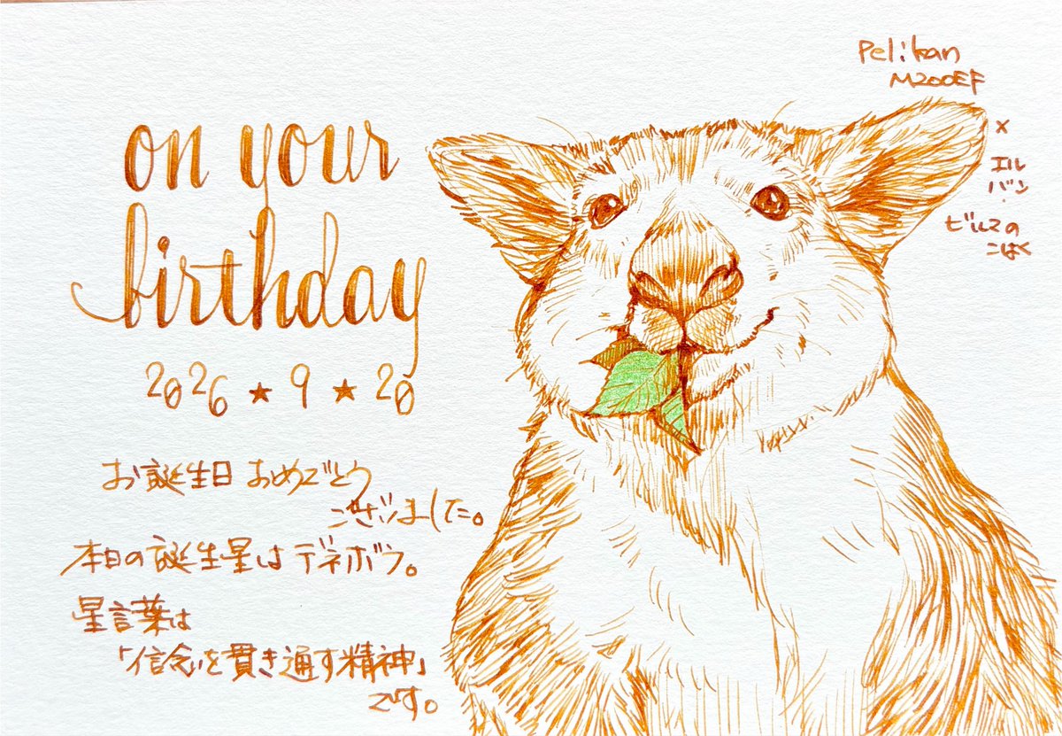 DT_stylo's tweet photo. #本日お誕生日のフォロワー様へ
#手書きツィート
キノボリカンガルー
（つ） https://t.co/YLj56Qp3cH