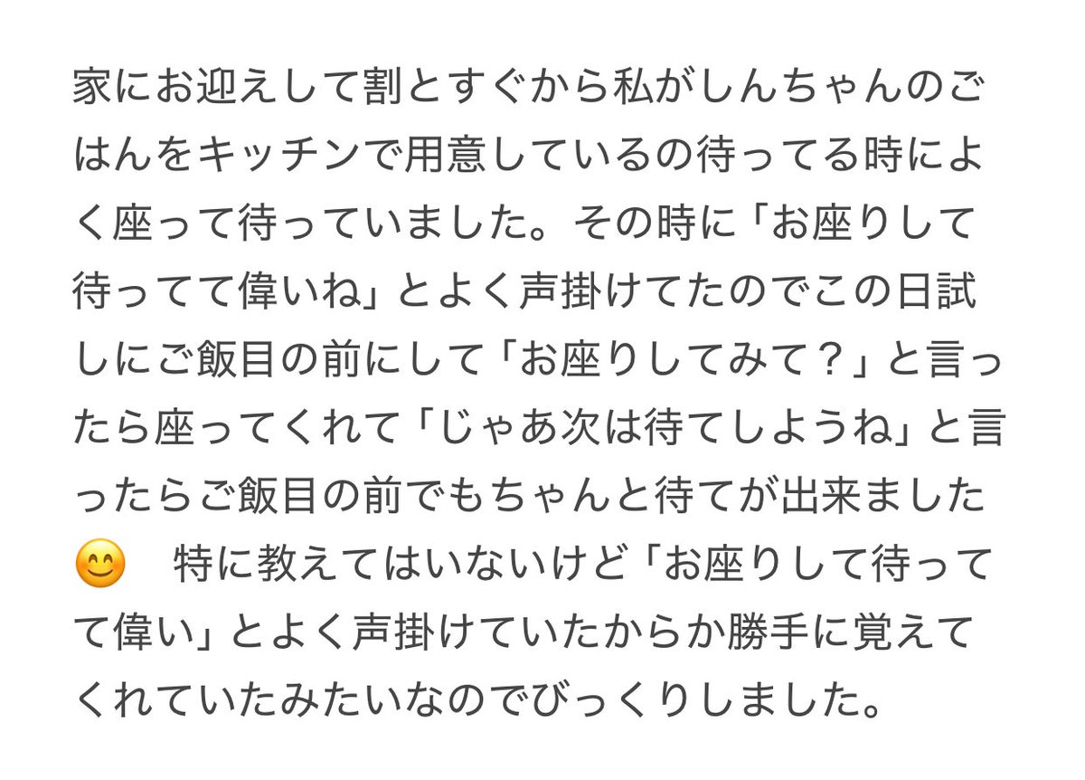 CorgiShinchan's tweet photo. ←お座りと待てを同時に覚えた去年9/20のしんちゃん 視線の先はごはんです😊
同じような目線の今日のしんちゃん　(私の足を枕にしてます😂)こうして見ると面影あるね😊→
#コーギー
#Corgi
#犬好きさんと繋がりたい https://t.co/PqAZTjzISD