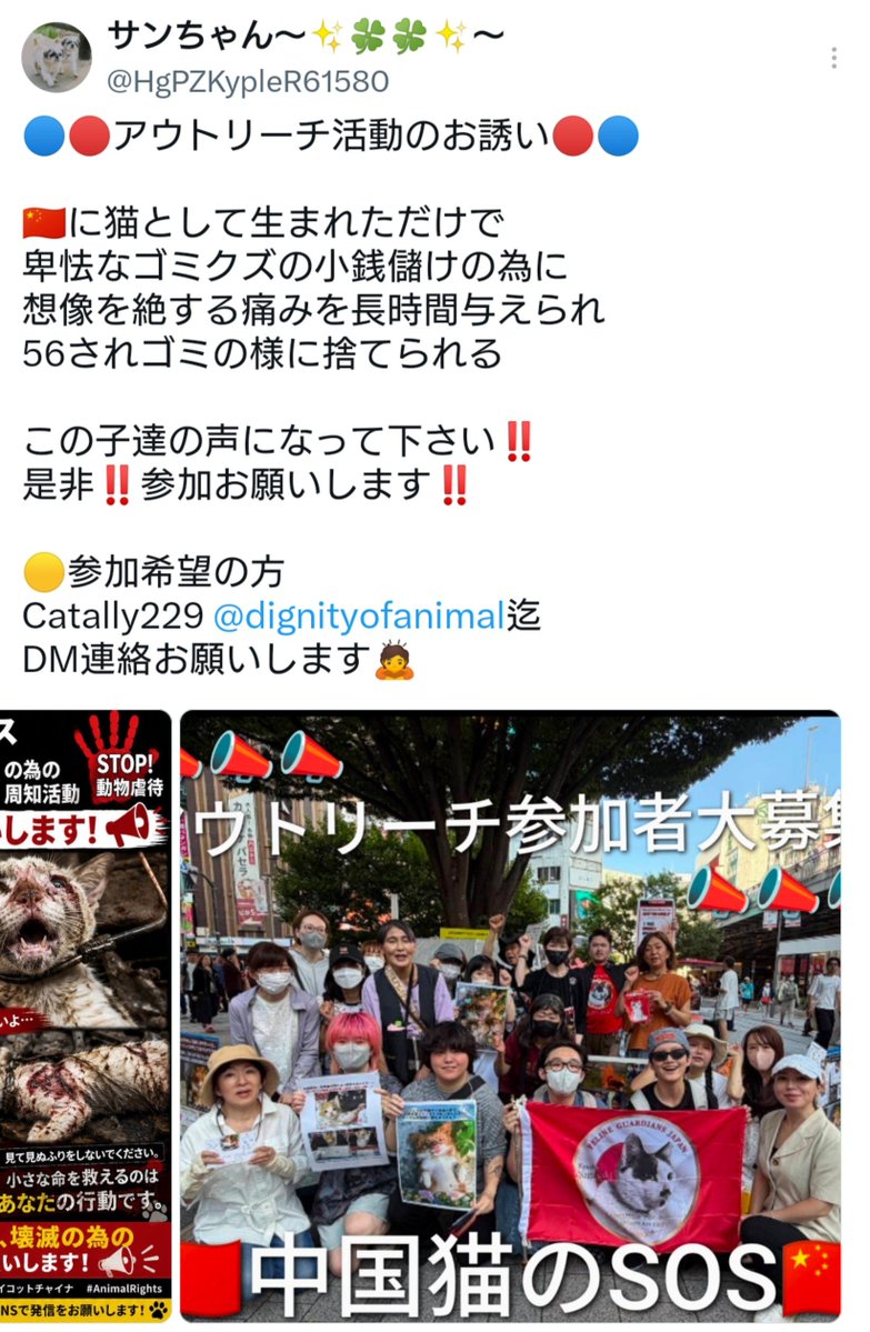 xx4ever13666's tweet photo. 中国の猫虐待･虐殺ビジネス許せない
広東省掲揚市の旺旺事件も許せない
@HgPZKypleR61580
@elonmusk 
#JusticeForWangWang https://t.co/hAF7JRNFpo