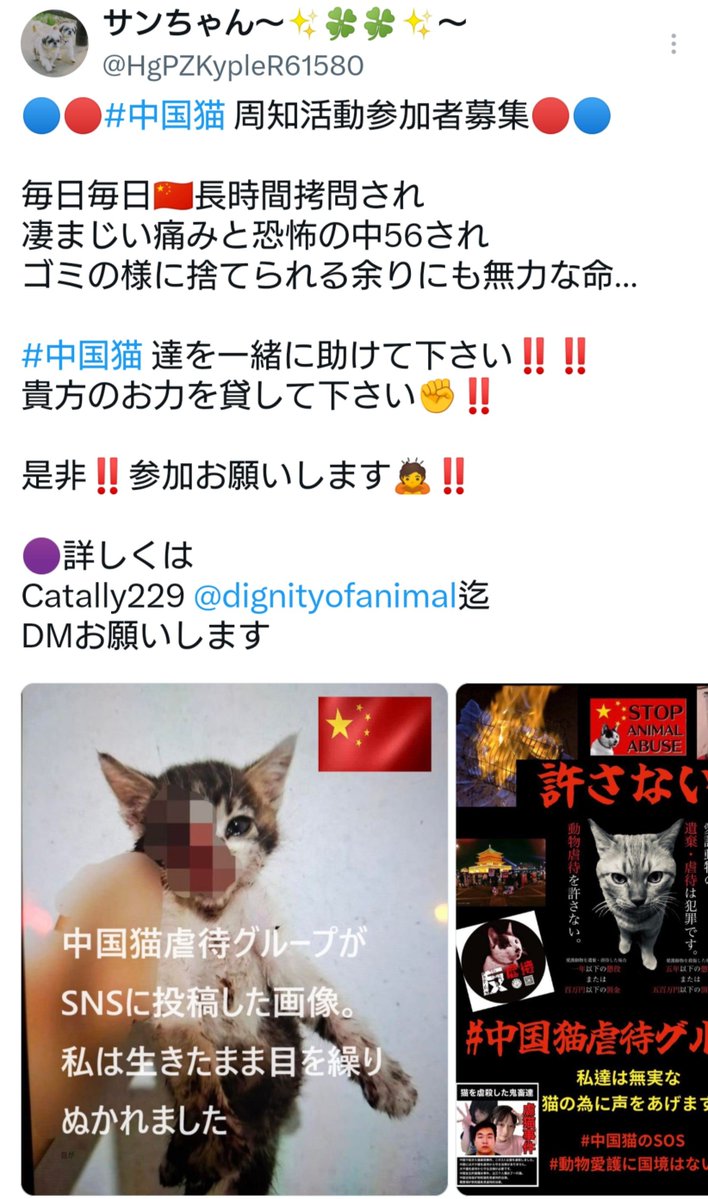 xx4ever13666's tweet photo. 中国の猫虐待･虐殺ビジネス許せない
広東省掲揚市の旺旺事件も許せない
@HgPZKypleR61580
@elonmusk 
#JusticeForWangWang https://t.co/hAF7JRNFpo