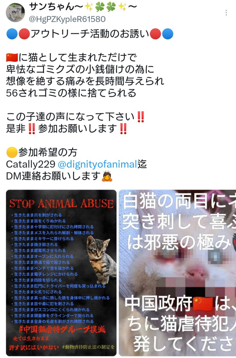 xx4ever13666's tweet photo. 中国の猫虐待･虐殺ビジネス許せない
広東省掲揚市の旺旺事件も許せない
@HgPZKypleR61580
@elonmusk 
#JusticeForWangWang https://t.co/hAF7JRNFpo