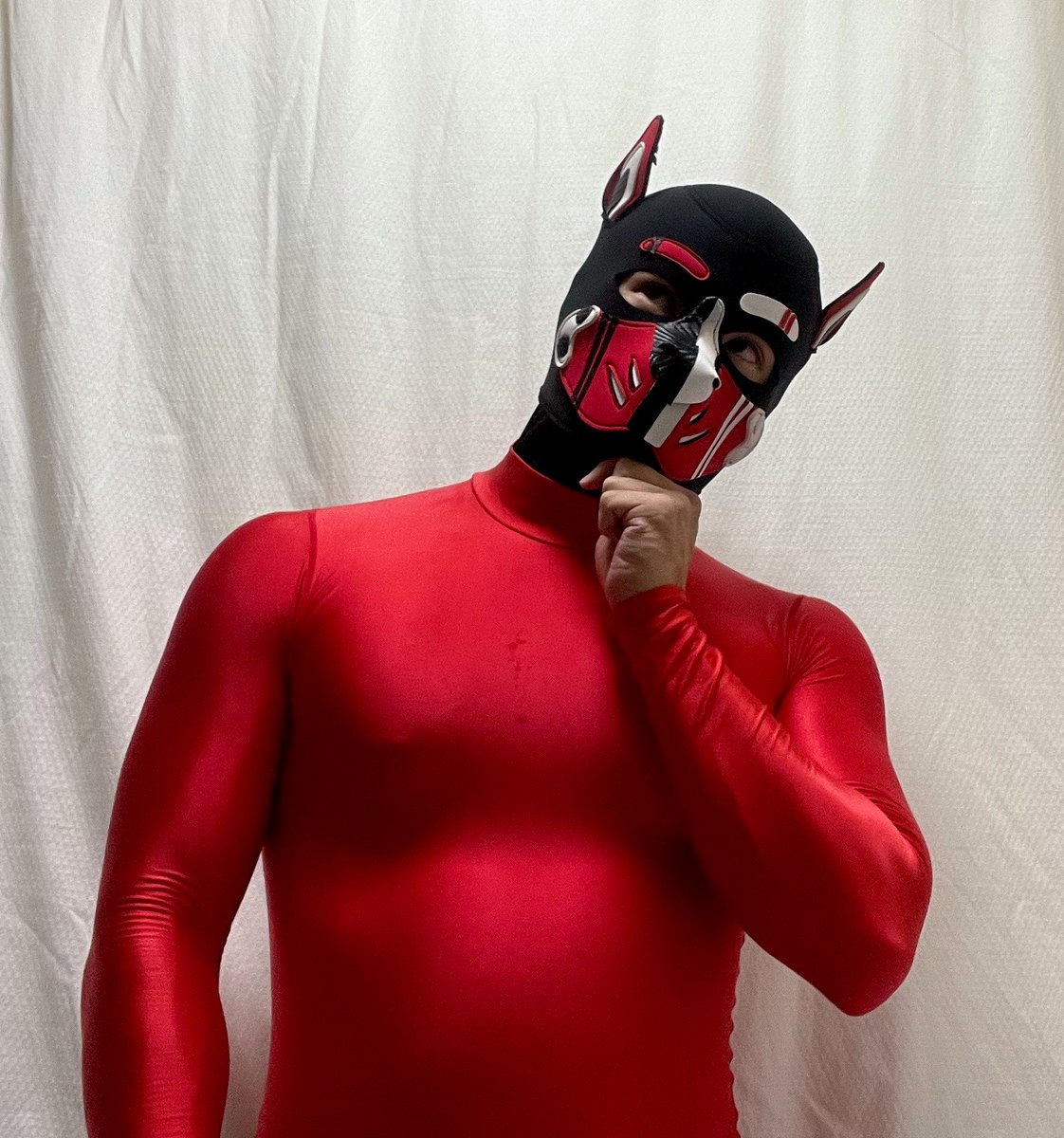 jikou253's tweet photo. そういえば、彼に純粋に
「どうして獣人好きなの？人と何が違う感じなの？？」
って聞かれて、こういう理由で好きなの！って上手く言えなくて
「本能的に…？」
って回答しか出来なかった_(:3」z)_
自分でも何でか知らないけど好きなのよね…🤔
ちなみにキッカケはFFⅩのキマリw https://t.co/bvuUlnel2o