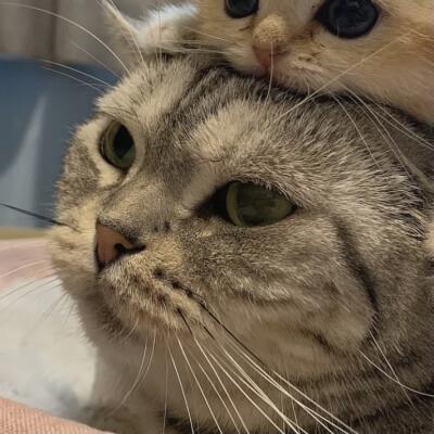 DoganGl8's tweet photo. 🚀 🍀 🌂 sometimes I write paragraphs and delete them https://t.co/lERFRZERd0