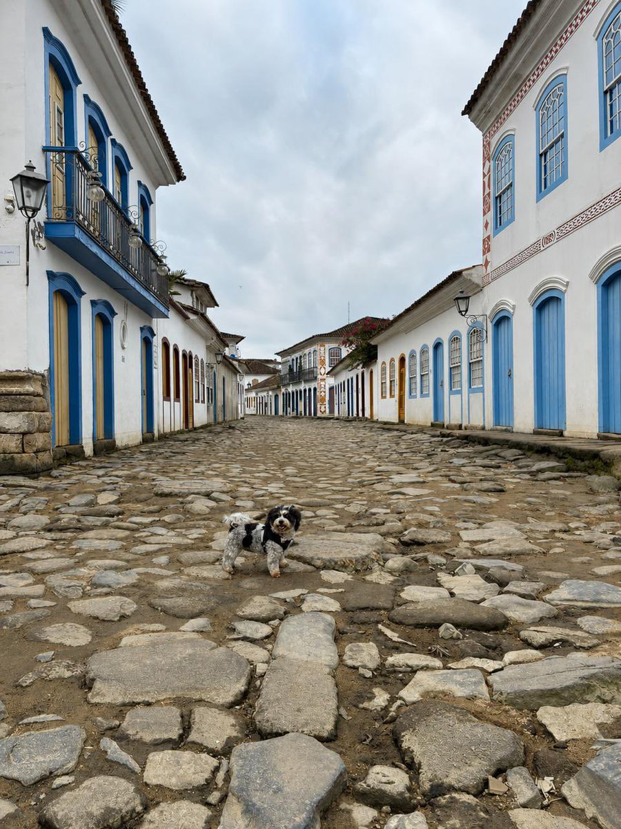 adiosrocha's tweet photo. e minha mãe que pediu pra IA me remover da foto pra deixar so a nossa cachorra turistando em Paraty 
isso que alguns anos atras ela nem queria cachorro pra começo de conversa https://t.co/vUgY2RRApH