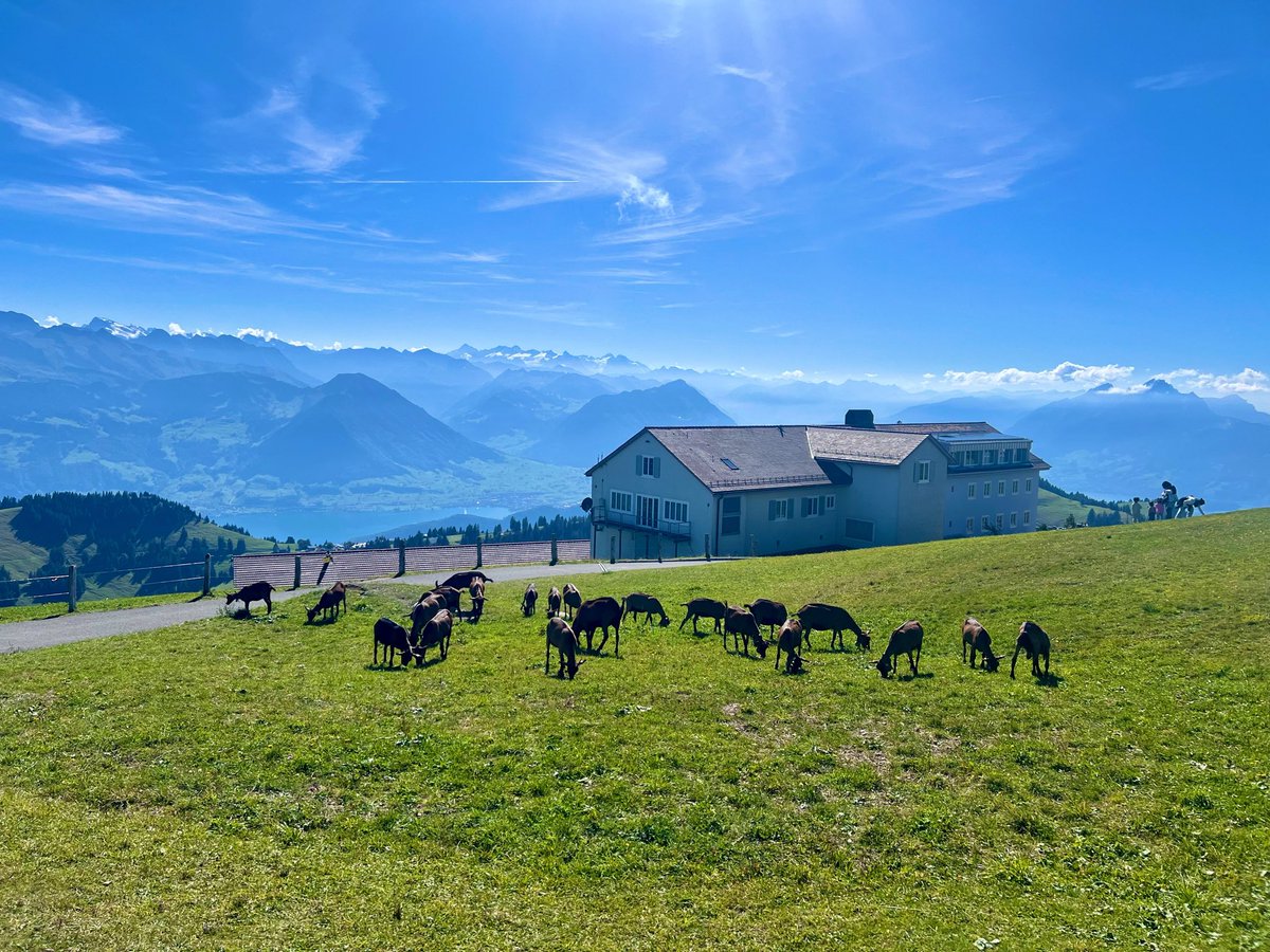 itirazhakki's tweet photo. 📍 Rigi Scheidegg – Rigi Staffel – Rigi Kulm #panoramaweg https://t.co/M51CFRdooV