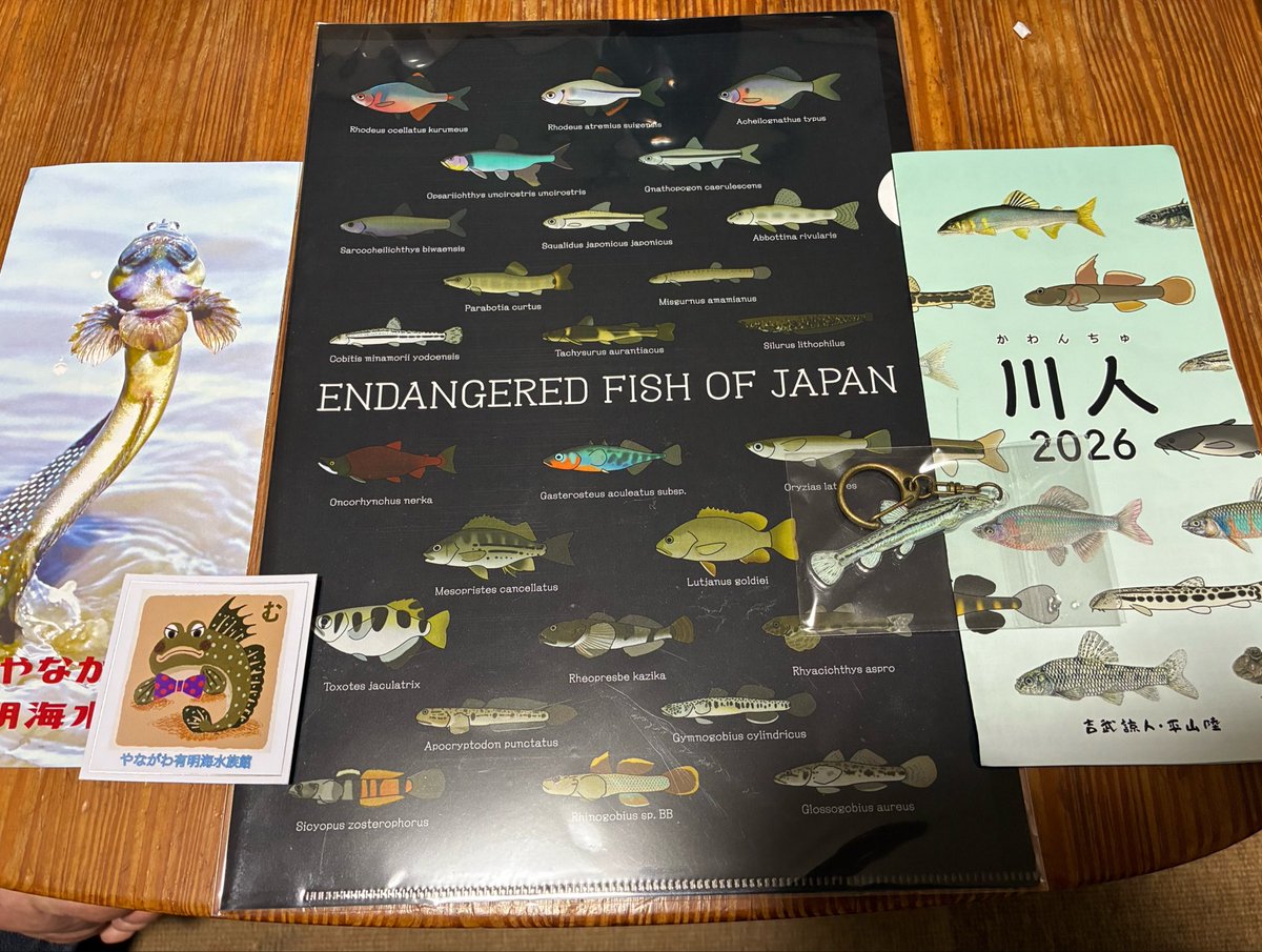 Ubx_1127's tweet photo. 川人行ってきました
様々な人と魚の談義ができて非常に充実した時間を過ごすことができました❤️
また行きたい

#かわんちゅ https://t.co/0mA23jP8B8