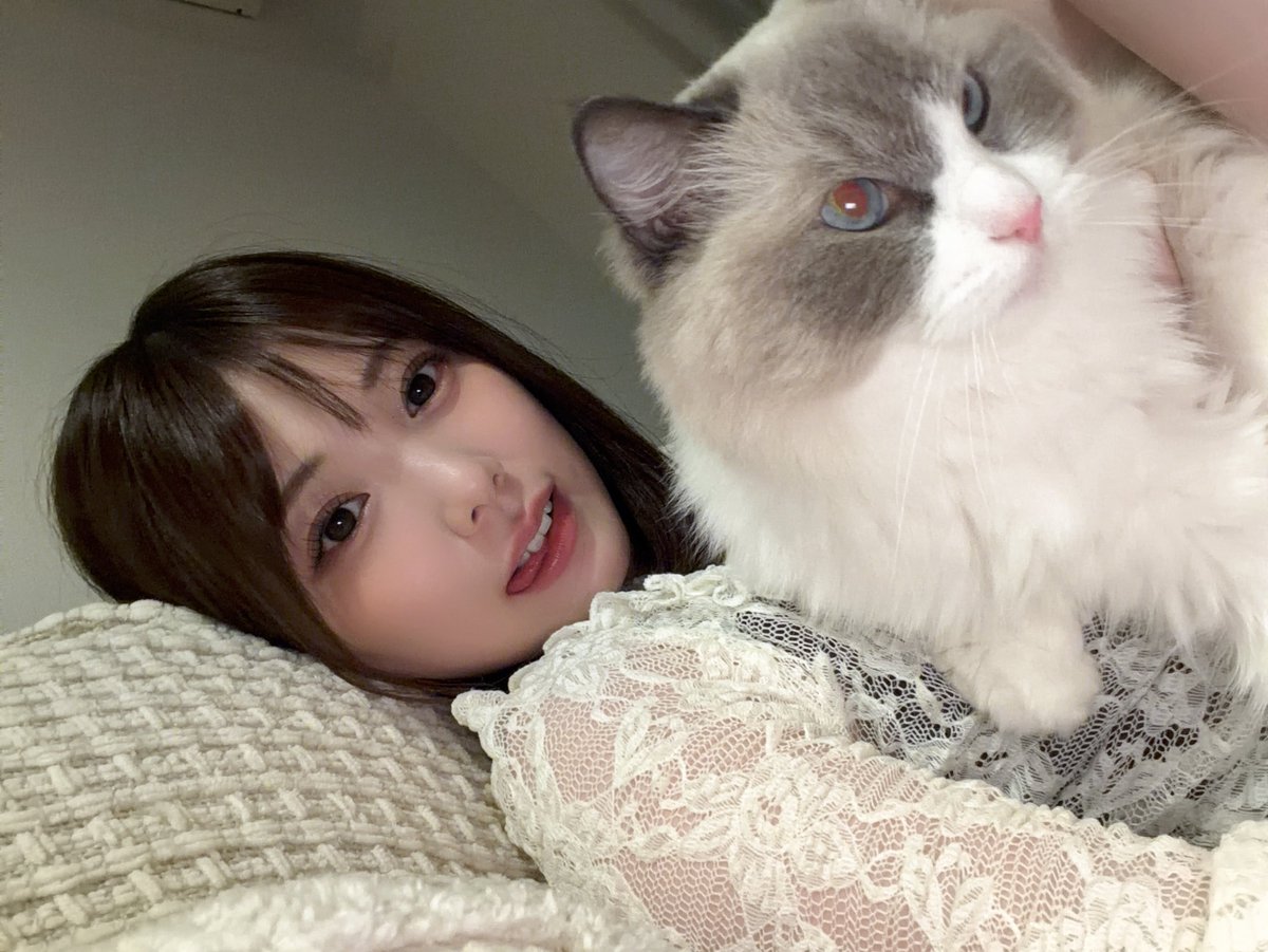 _ishikawamio_'s tweet photo. 🐱 https://t.co/uLVBhp73g1