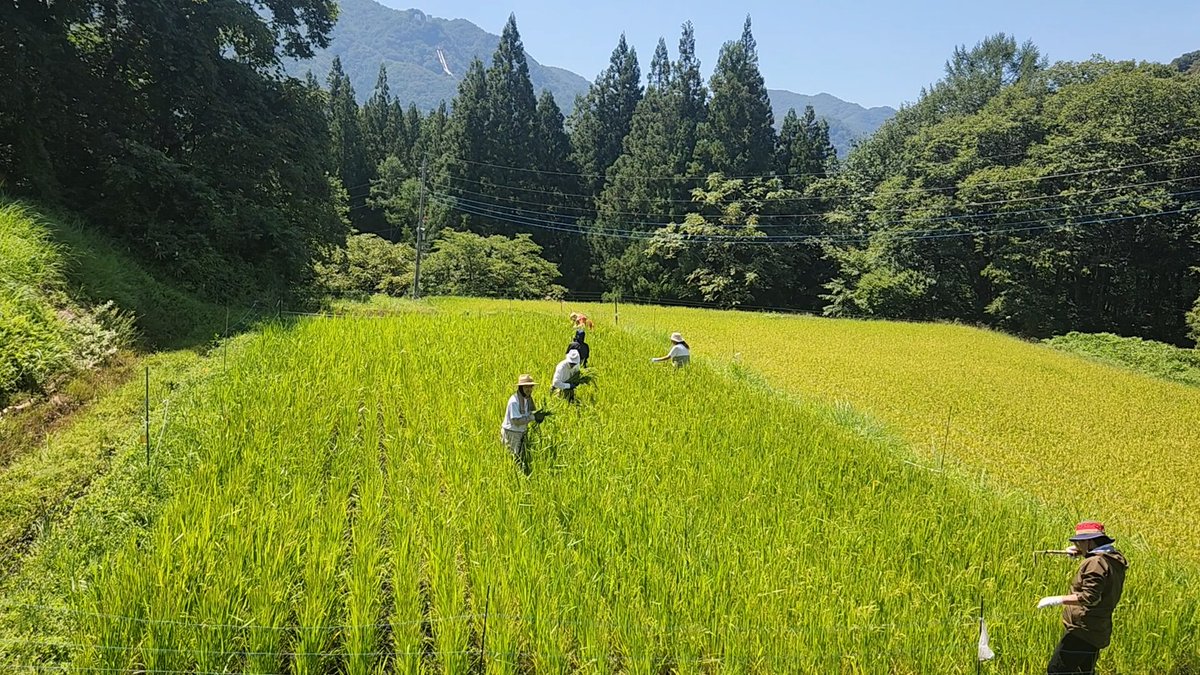 ChikatsuHayashi's tweet photo. @mayuhappy831 国民で立ち上がろう！

食も農も。

１０月２１日１４時    自立日本  国民大集会！！
https://t.co/KaocFDuacd https://t.co/I3FZsvDqTt