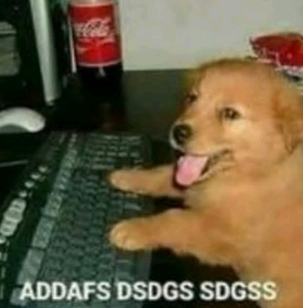 OROLOGICREMSI's tweet photo. ALRIGHT its finally confirmed, im moving out and everything, and while i'll be able to be mostly fine, i do need an extra so im opening up some fanfic c0mms!!! 

i think 20$ for about 1k or so words should be good enough. if yo uwant some examples check my ao3 below!!! https://t.co/SvDCRexjor