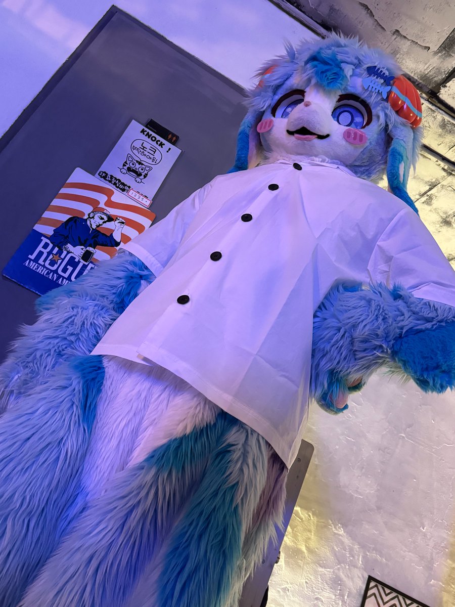 fur_Splash's tweet photo. 노크! 
부탁해야옹! https://t.co/x9ZTNQ81uR