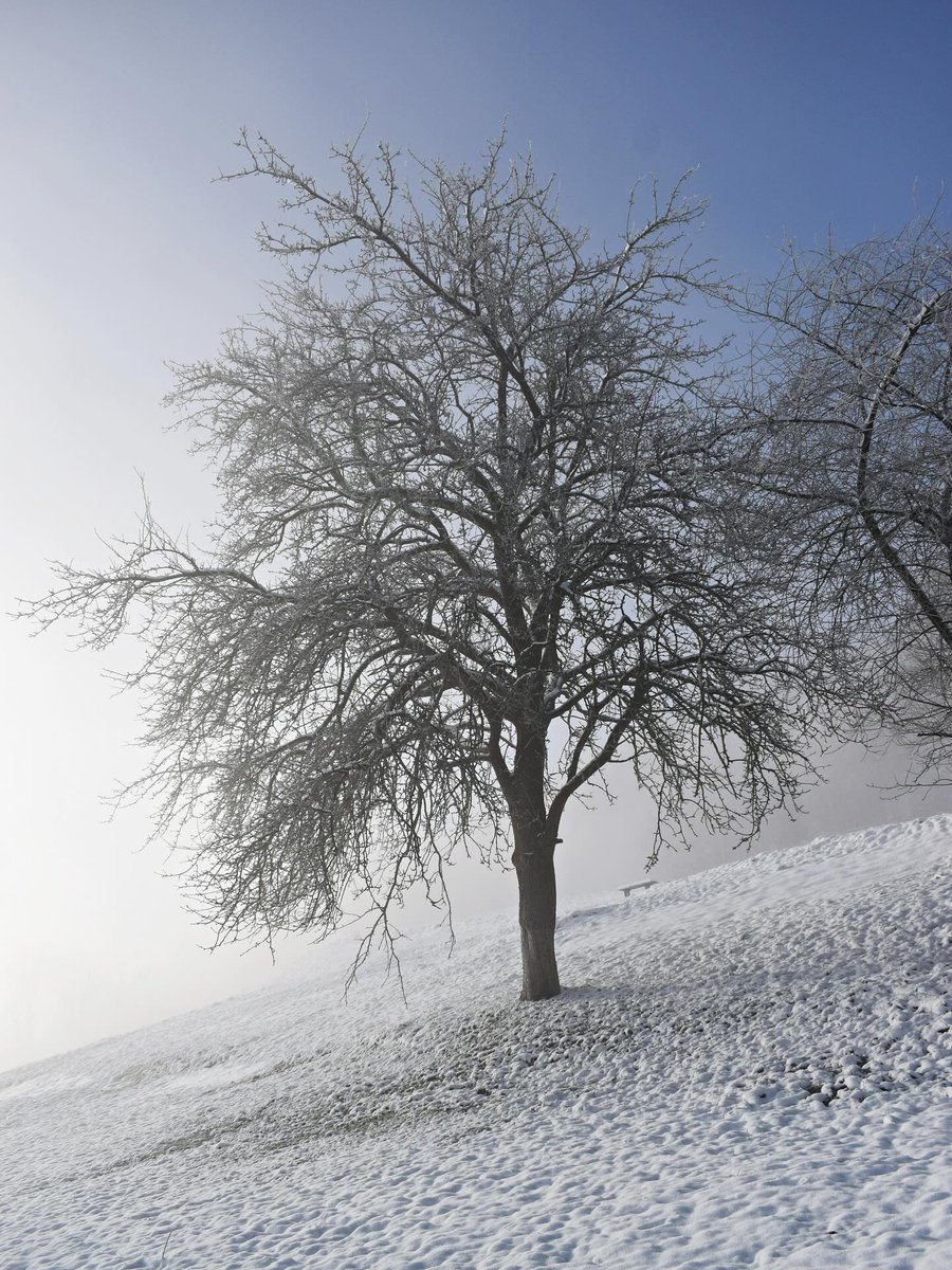 andrejames36168's tweet photo. Winter has arrived. https://t.co/sv9nZqXWlV