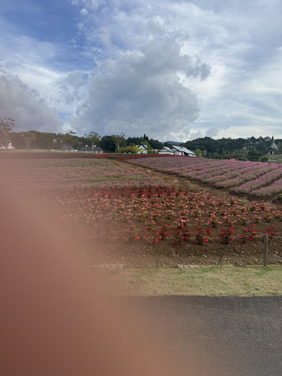 Tamaeda155's tweet photo. オフ会楽しかった！
VRCで培った撮影技術を活かして、色鮮やかなお花畑を撮った！ https://t.co/N40rPsKLCU
